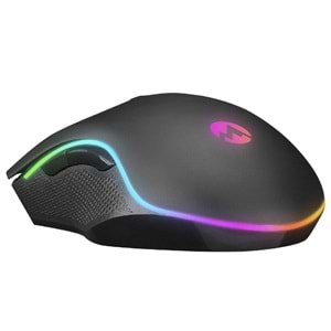 Everest SM-F09 Tıtanıo Usb Gümüs 7200Dpi Rgb Ledli Gaming Oyuncu Mouse