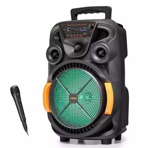 Kimiso QS4009 Bluetooth Karaoke Hoparlör FM Radyo 8 İnç USB TF AUX RGB Mikrofonlu Taşınabilir