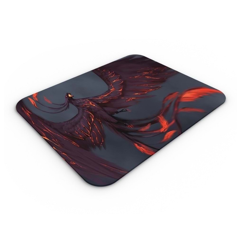 Concord MP-305 Mouse Pad 250 * 300 * mm